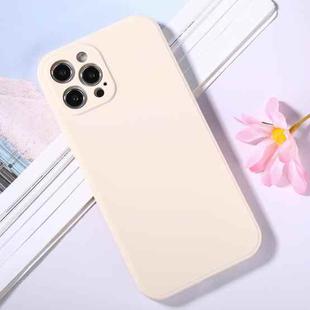 For iPhone 12 Pro Max Magic Cube Frosted Silicone Shockproof Full Coverage Protective Case(White)
