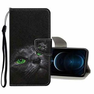 For iPhone 12 Pro Max Colored Drawing Pattern Horizontal Flip Leather Case with Holder & Card Slots & Wallet(Black Cat)