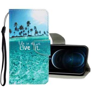 For iPhone 12 Pro Max 3D Colored Drawing Horizontal Flip PU Leather Case with Holder & Card Slots & Wallet(Coconut Tree)