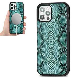 For iPhone 12 / 12 Pro Python Texture Embossing Magnetic PU + TPU Protective MagSafe Case(Green)
