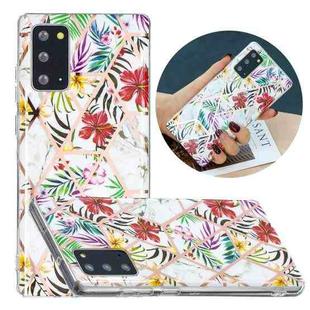 For Samsung Galaxy Note20 Flat Plating Splicing Gilding Protective Case(Tropical Rainforest Color Matching)
