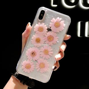 For iPhone XR Daisy Pattern Real Dried Flowers Transparent Soft TPU Cover(Pink)