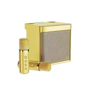 YS-203 Bluetooth Karaoke Speaker Wireless Microphone (Gold)
