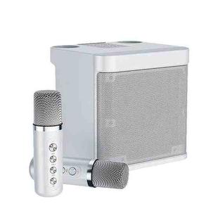 YS-203 Bluetooth Karaoke Speaker Wireless Microphone(Silver)