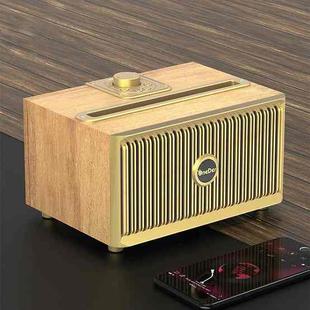 Oneder V6 Portable Wireless Bluetooth Speaker, Support Hands-free & FM & TF Card & AUX & USB Drive (Gold)