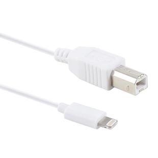 1m 8 Pin to Type-B Male Piano / Electronic Piano Cable MIDI Cable Adapter(White)