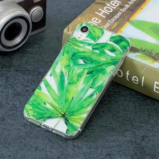 For iPhone XR TPU Protective Case