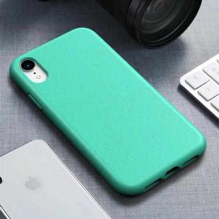 For iPhone XR Starry Series Shockproof  Straw Material + TPU Protective Case (Green)