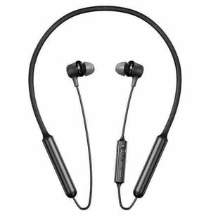 ROCK B3 Bluetooth 5.0 Wireless Active Noise Cancelling Earphones(Black)