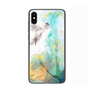 Flying Pigeon Pattern Marble Glass Protective Case for iPhone X / XS