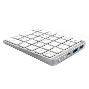 N970 Pro Dual Modes Aluminum Alloy Rechargeable Wireless Bluetooth Numeric Keyboard with USB HUB (Silver)