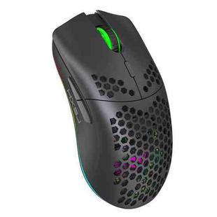 HXSJ T66 7 Keys Colorful Lighting Programmable Gaming Wireless Mouse (Black)