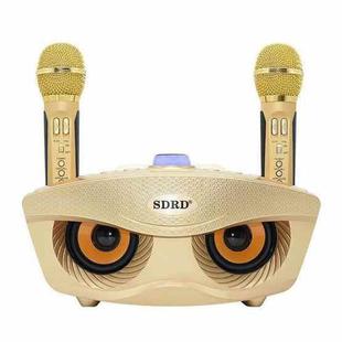 SD-306 2 in 1 Family KTV Portable Wireless Live Dual Microphone + Bluetooth Speaker(Gold)