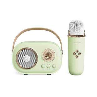 C20 Plus Multifunctional Karaoke Bluetooth Speaker With Microphone (Green)