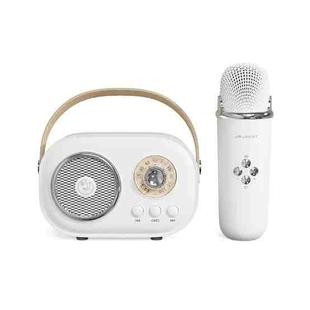 C20 Plus Multifunctional Karaoke Bluetooth Speaker With Microphone (White)