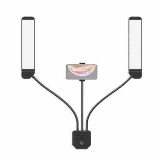 RK39 Portable Tri-color Adjustable Brightness Double Arms Fill Light with Phone Clip(Black)