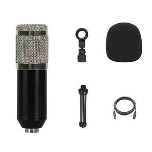 BM-828 Back-pole Diaphragm USB Condenser Microphone Set (Silver)