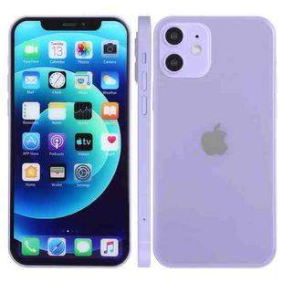 For iPhone 12 Color Screen Non-Working Fake Dummy Display Model (Purple)