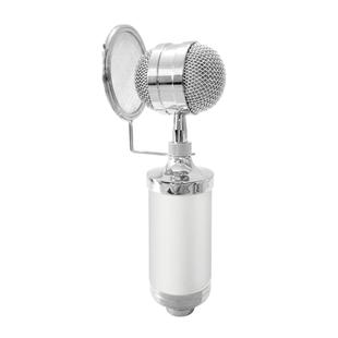 3000 Home KTV Mic Condenser Sound Recording Microphone with Shock Mount & Pop Filter for PC & Laptop, 3.5mm Earphone Port, Cable Length: 2.5m(White)