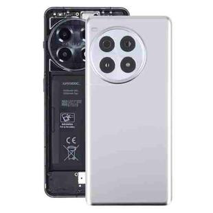 For OnePlus Ace 3 Pro PJX110 Original Glass Battery Back Cover with Camera Lens(Silver)