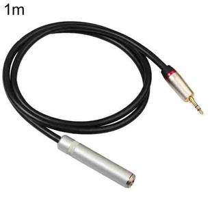 REXLIS TC128MF 3.5mm Male to 6.5mm Female Audio Adapter Cable, Length: 1m