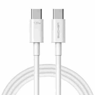 WK WDC-175 120W USB-C/Type-C to USB/Type-C Fast Charge Data Cable, Length: 1.2m