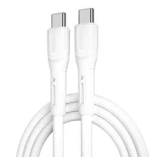 WIWU Armor Series Wi-C005 PD100W USB-C / Type-C to USB-C / Type-C Fast Charging Data Cable, Length: 1m (White)