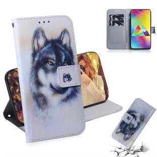 White Wolf Pattern Coloured Drawing Horizontal Flip Leather Case for Galaxy M20, with Holder & Card Slots & Wallet