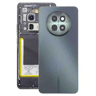 For Realme 12 Original Battery Back Cover with Middle Frame(Green)