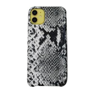 For iPhone 11 Snake Skin Pattern PU+PVC Material Shockproof Mobile Protective Case(Grey)