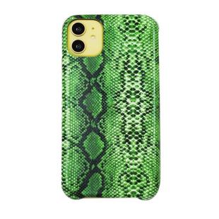 For iPhone 11 Snake Skin Pattern PU+PVC Material Shockproof Mobile Protective Case(Grass Cyan)