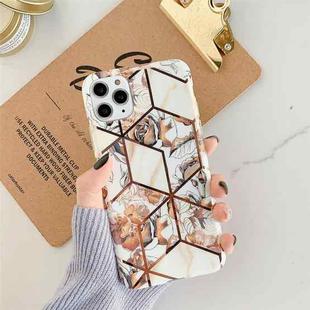 For iPhone 12 Pro Max Plating Geometric Flower Series IMD TPU Mobile Phone Case(Gold PH1)
