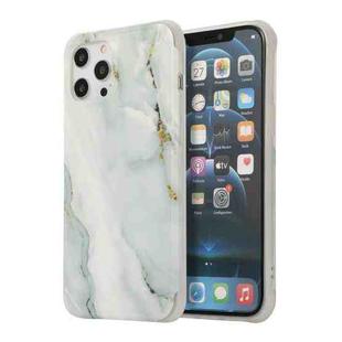 For iPhone 13 Pro Max Four Corners Shocproof Flow Gold Marble IMD Back Cover Case (Gray)