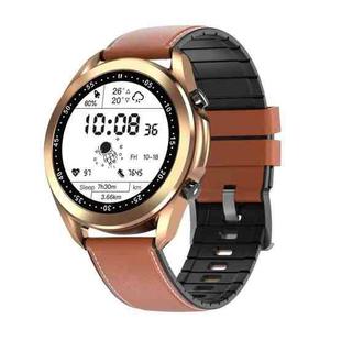 DW95 1.28 inch Color Screen Smart Watch, IP67 Waterproof,Leather Watchband,Support Bluetooth Call/Heart Rate Monitoring/Blood Pressure Monitoring/Blood Oxygen Monitoring/Sleep Monitoring(Gold)