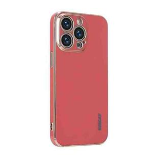 ENKAY Plated Gold Edge TPU Case for iPhone 13 Pro(Red)