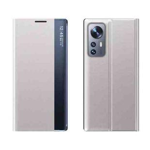 For Xiaomi 12 Pro Side Display Magnetic Plain Texture Cloth + PC Case with Holder(Silver)