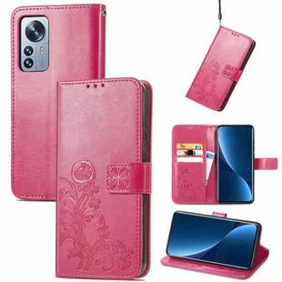 For Xiaomi 12 Pro Four-leaf Clasp Embossed Buckle Leather Phone Case(Magenta)