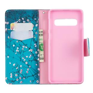 Colored Drawing Pattern Horizontal Flip Leather Case for Samsung Galaxy S10,with Holder & Card Slots & Wallet(Plum Blossom)