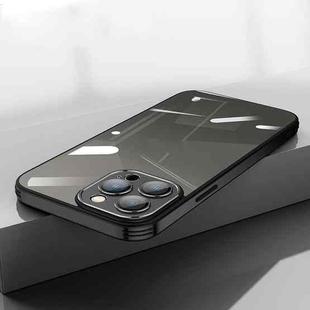 Dustproof Mesh Phone Case For iPhone 13 Pro(Black)