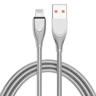 ENKAY ENK-CB131 USB to 8 Pin Carbon Steel Hose Spring 2.4A Fast Charging Data Cable, Length:1m(Silver)