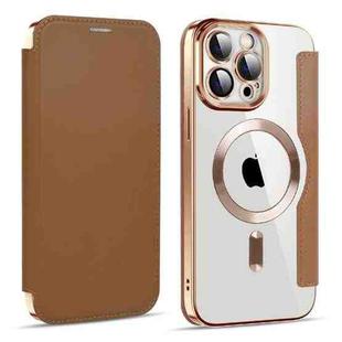 For iPhone 15 Pro Max Shield MagSafe RFID Anti-theft Leather Phone Case(Brown)