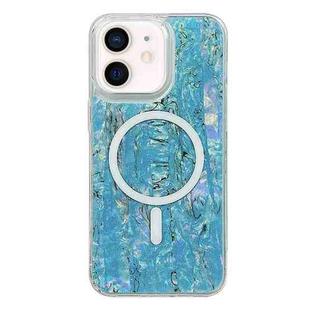 For iPhone 11 Shell Texture Multicolor MagSafe TPU Phone Case(Sky Blue)