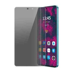For Realme C67 4G 2pcs ENKAY Hat-Prince 28 Degree Anti-peeping Privacy Tempered Glass Film