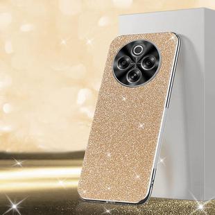 For vivo Y300 Pro Electroplated Glitter Powder Phone Case(Gold)