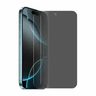 For iPhone 17 2pcs ENKAY Hat-Prince 28 Degree Anti-peeping Privacy Tempered Glass Film