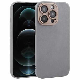 For iPhone 12 Pro Plain Imitation Leather Back Cover Phone Case(Grey)