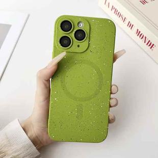 For iPhone 11 Pro Starry Sky TPU Shockproof MagSafe Phone Case(Green)