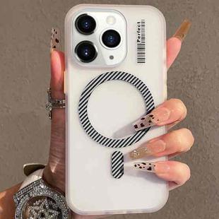 For iPhone 11 Pro Max Crystal Skin Feel MagSafe TPU Phone Case(Grey)