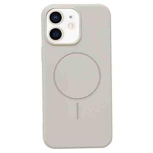 For iPhone 11 Glossy TPU Shockproof MagSafe Phone Case(Rock Color)