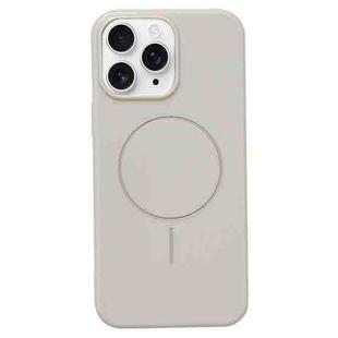 For iPhone 11 Pro Max Glossy MagSafe Shockproof TPU Phone Case(Rock Color)